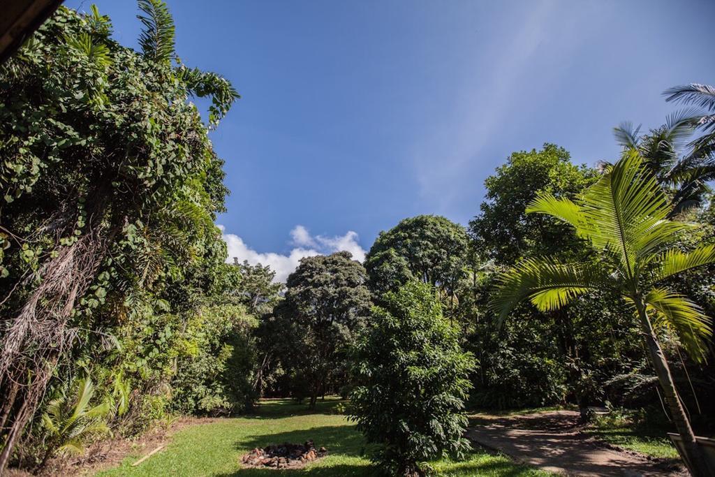Cape Tribulation Holiday House Exterior photo